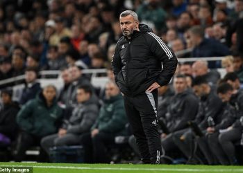 Šef Qarabaga ljuti se ‘ove se stvari ne bi trebale događati’ dok Tottenhamovi protivnici u Europskoj ligi trpe kaos prije utakmice prije poraza od 3-0