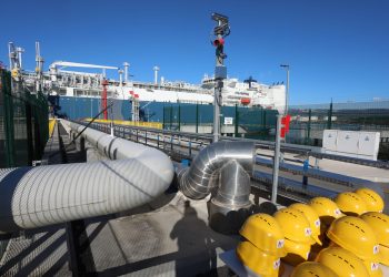 Skup(lj)i plin je europska realnost