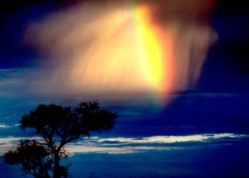 Snimili glas s neba? Hodočasnici zapanjeni: ‘Mi smo s vama, Isus u vama’