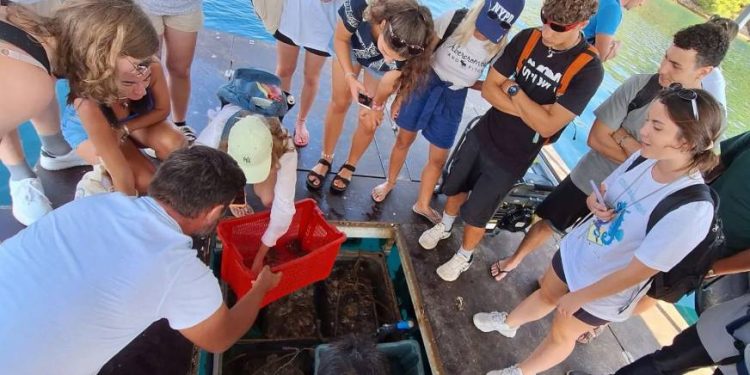 Studenti iz osam zemalja analizirali morske ekosustave zadarskog i šibenskog akvatorija!