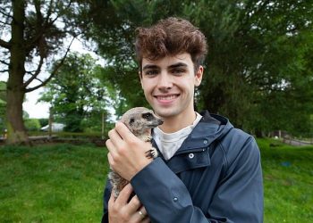 TikTok senzacija Kyle Thomas, ljubitelj merkata, čija je majka krivično gonjena zbog krijumčarenja kapibare, otvara priču o svom nevjerojatnom putovanju do veleposlanika za prava životinja – ali priznaje da izgradnja vlastitog zoološkog vrta nije tako jednostavna…