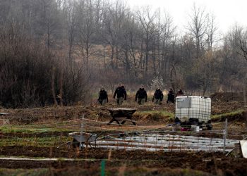 U slučaju nestale Danke Ilić moguć je neočekivani rasplet: Ovome se nitko nije nadao