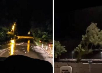 VELIKO NEVRIJEME U Dalmaciji su noćaš “padala” stabla, a kiša je izazivala bujice!