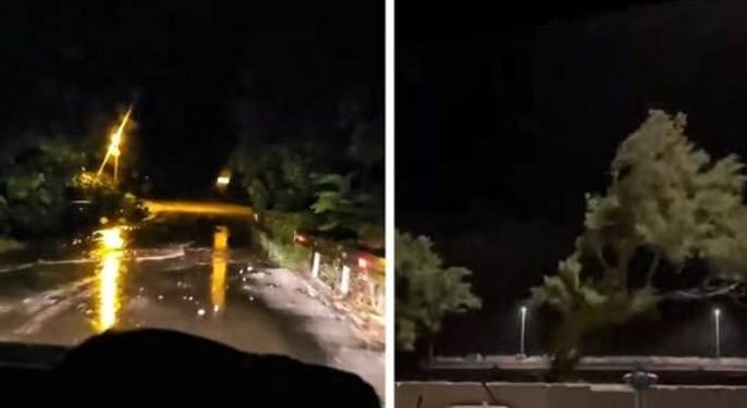 VELIKO NEVRIJEME U Dalmaciji su noćaš “padala” stabla, a kiša je izazivala bujice!