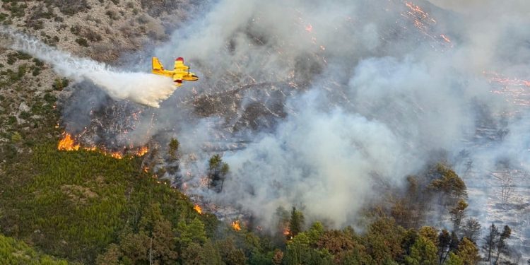 VIDEO Pogledajte kako kanaderi gase veliki požar na istoku Splita