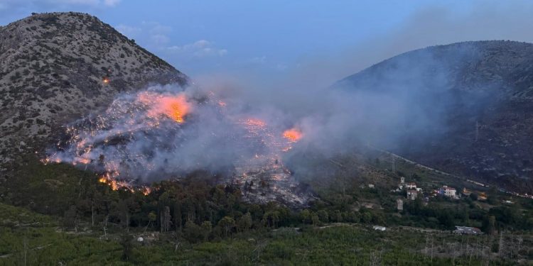 VIDEO Veliki požar kod Žrnovnice, zatvorena je prometnica u smjeru Sitnog