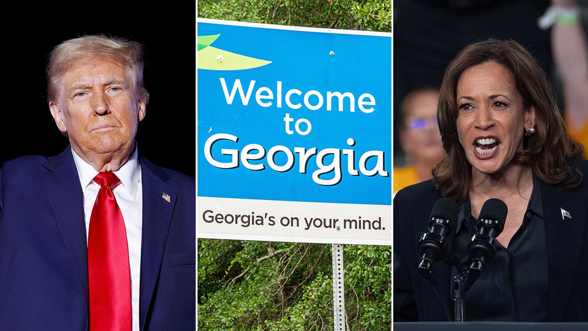 Donald Trump i Kamala Harris na krilima, znak Georgia u sredini