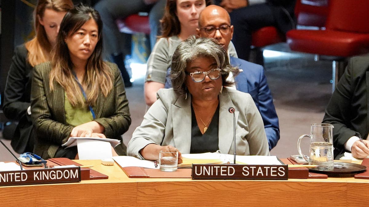 Linda Thomas-Greenfield Sjedinjene Američke Države