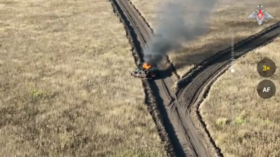 Još više ukrajinskog oklopa uništeno u regiji Kursk – MORH (VIDEO)
