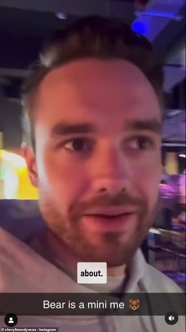 Dok je Liam nedavno dao nekoliko rijetkih komentara o svom sinčiću, kao što je ponovno komentirao koliko je velik postao dok je slavio svoj 31. rođendan krajem kolovoza