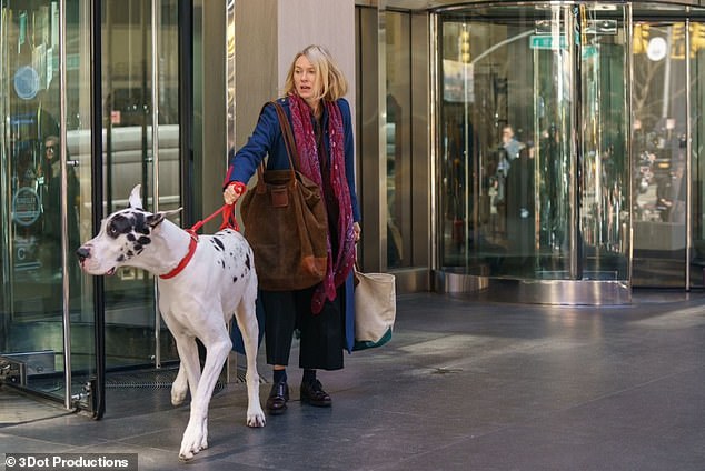 Naomi je izvršna producentica i glumi spisateljicu s Manhattana Iris, koja naslijedi njemačku dogu od 150 funti po imenu Apollo (glumi ga Bing) nakon što njezin najbolji prijatelj i mentor Walter (Bill Murray) počini samoubojstvo, u drami o gubitku