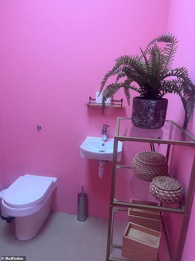 There's also another small pink bathroom that's off camera that viewers don't see, but it seemingly didn't get the same decorating job as the main room