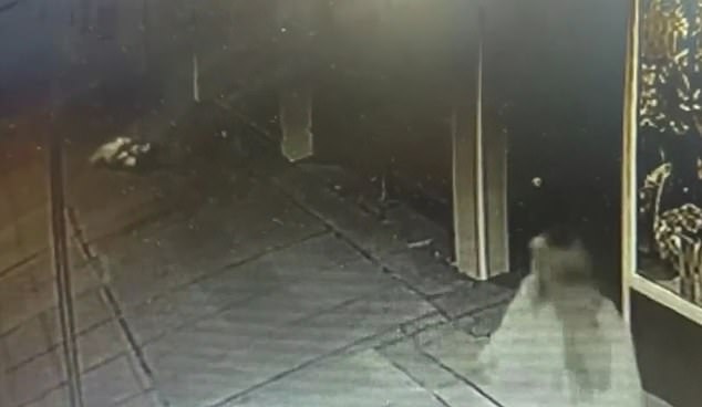 Muškarca je pratila žena (desno) na snimci, na kojoj se vidi kako se srušio na pločnik ispred nje (gore lijevo)