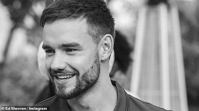 Bivši član One Directiona, 31, pao je s trećeg kata hotela CasaSur Palmero u Buenos Airesu malo poslije 17 sati u srijedu navečer