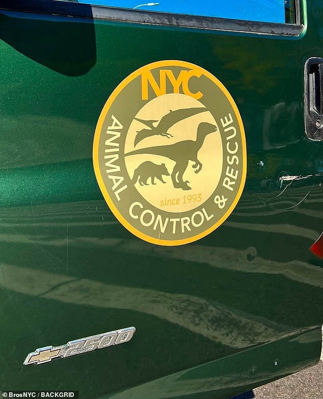 Jedno od vozila u sceni imalo je odgovarajući logo Animal Control & Rescue NYC koji je prikazivao oblike tri različita dinosaura