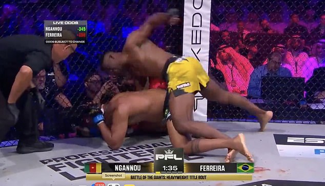 Nakon što je donio udarac, Ngannou je zadao brutalne udarce prije nego što je borba prekinuta