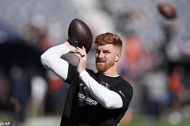 Andy Dalton vratio se u postrojenje Panthers samo dan nakon što je 