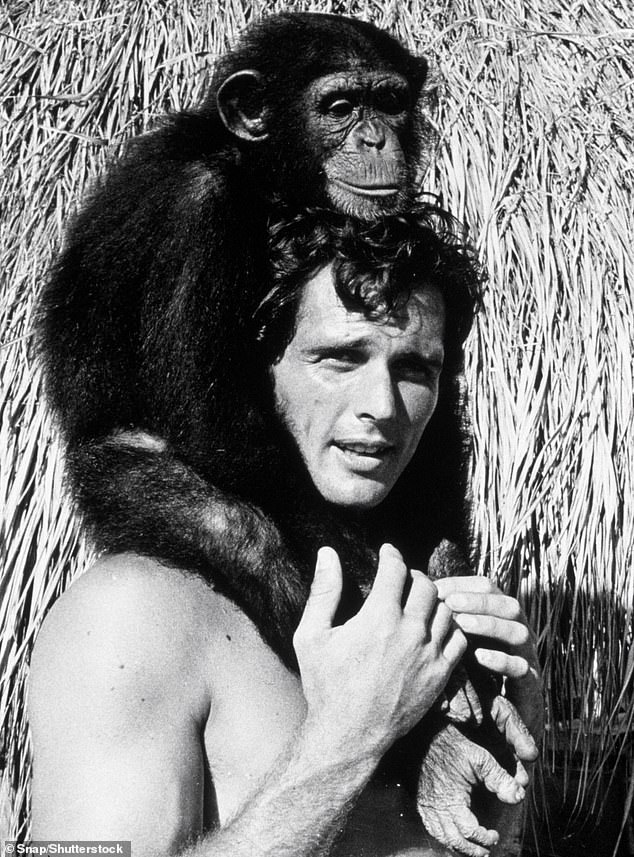 Ely worked with animals including chimpanzees during his tenure as Tarzan