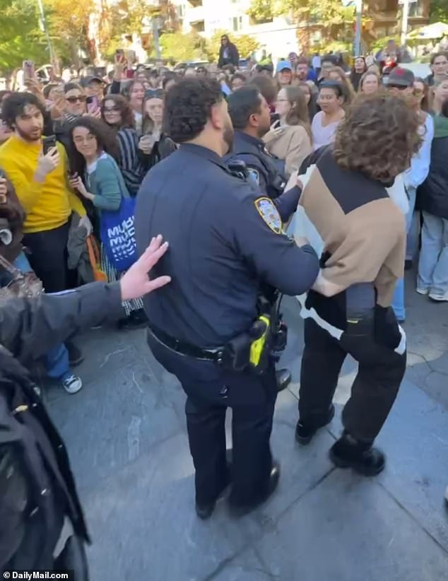 Najmanje jedan čupavi dvojnik Chalametu uhićen je u parku Washington Square