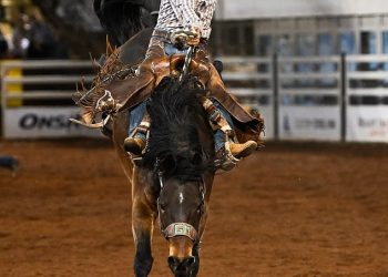 Aktivisti za prava životinja imaju ludi plan kako spasiti najveći rodeo u Australiji zabranom bikova i konja – a nećete vjerovati čime ih žele zamijeniti