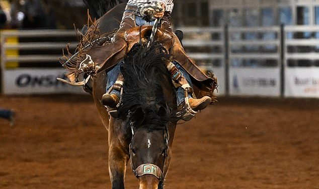 Aktivisti za prava životinja imaju ludi plan kako spasiti najveći rodeo u Australiji zabranom bikova i konja – a nećete vjerovati čime ih žele zamijeniti