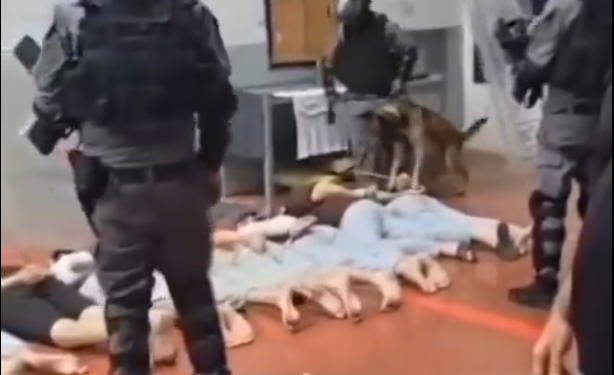 Al Jazeera objavila dokumentarac o ‘prvom genocidu uživo’: ‘Tamo psi siluju zatvorenike’