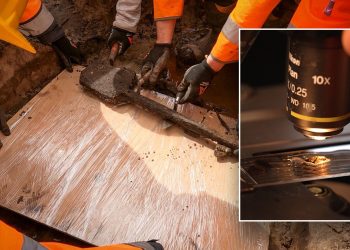 Arheolozi su iskopali jedan od najstarijih drvenih alata ikada pronađenih u Britaniji