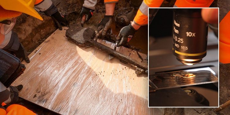 Arheolozi su iskopali jedan od najstarijih drvenih alata ikada pronađenih u Britaniji