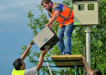 Auto Klub – Ovo je 84 novih lokacija kamera za nadzor brzine, postavljene i na autocestama