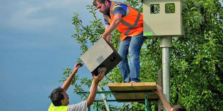 Auto Klub – Ovo je 84 novih lokacija kamera za nadzor brzine, postavljene i na autocestama