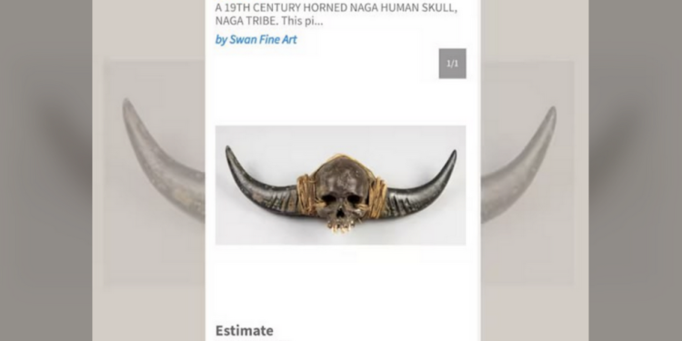 Britanska aukcija ljudske lubanje otkazana nakon intervencije Indije — RT India