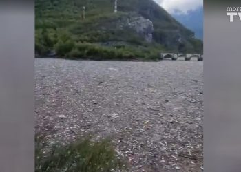 Dolini Neretve prijeti veliko zagađenje, pogledajte gomile smeća koje putuju rijekom nakon katastrofe u Jablanici