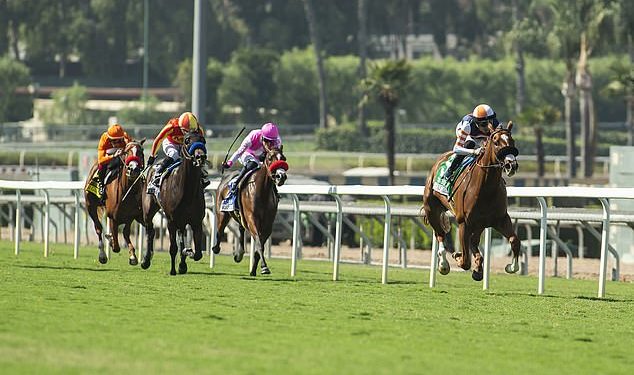 Džokej, 23 godine, ‘heliftom prebačen u bolnicu’ s ‘kritičnim ozljedama’ nakon što je pretrpjela užasan pad na utrci