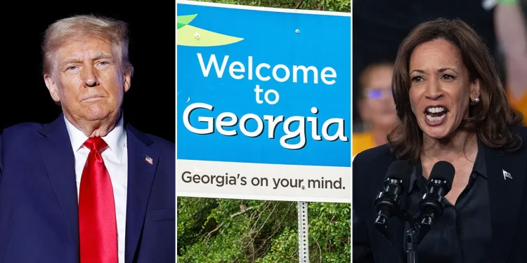 ‘Epicentar’: Kako bi ‘ključ’ Bijele kuće mogao ležati u predgrađu okruga Georgije