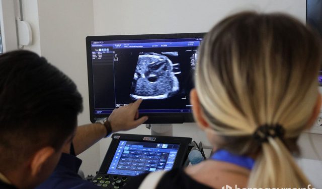 FOTO U MOSTARU Tečaj za trudnice i doktore kako bi se otkrile srčane mane kod nerođene djece