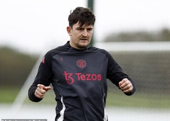 Harry Maguire i Eberechi Eze ispali su iz engleske momčadi – ali Kylea Walkera opozvao je privremeni šef Lee Carsley