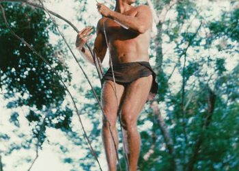 How all-action Tarzan star Ron Ely put his body on the line for his own stunts and was left with 24 major injuries including lion and chimp bites and two broken shoulders before family was struck by tragedy