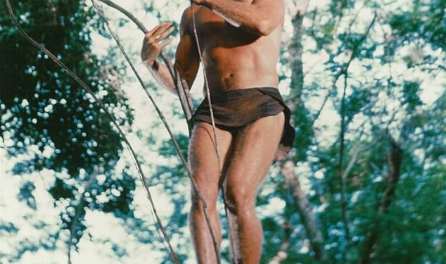 How all-action Tarzan star Ron Ely put his body on the line for his own stunts and was left with 24 major injuries including lion and chimp bites and two broken shoulders before family was struck by tragedy