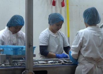 Izmjene Zakona o strancima donose niz novosti kojima se nastoji urediti tržite rada