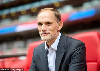 Jamie Carragher inzistira na tome da imenovanje Thomasa Tuchela za selektora Engleske ‘ne izgleda u redu’ – budući da Nijemac sklapa 18-mjesečni ugovor s Tri lava