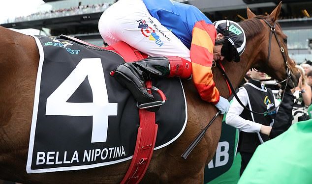 Kobila veteranka Bella Nipotina juriša kući kako bi osvojila Everest: ‘Ne znam što bih rekla, ona je samo nakaza!’