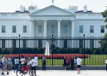 Kripto ima dovoljno glasača da napravi senzaciju