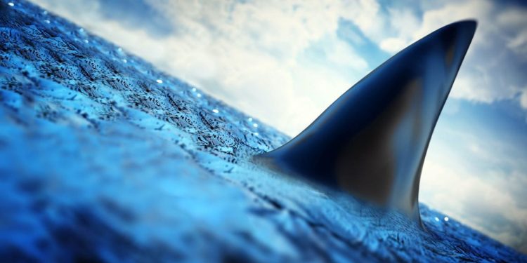 Na tijelu je još uvijek bilo ronilačko odijelo!