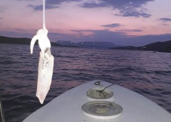 Najavljen 4. Lignjolov kup Neum