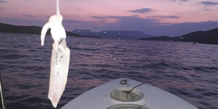 Najavljen 4. Lignjolov kup Neum