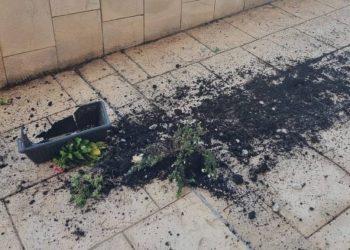 Netko u Vodicama ima nešto protiv cvijeća