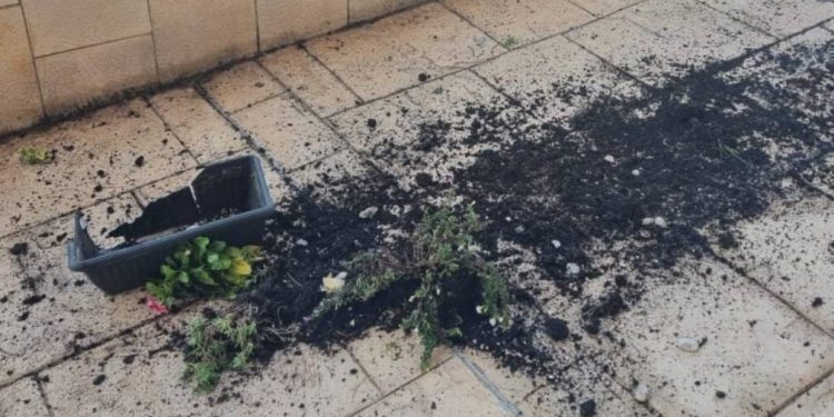 Netko u Vodicama ima nešto protiv cvijeća