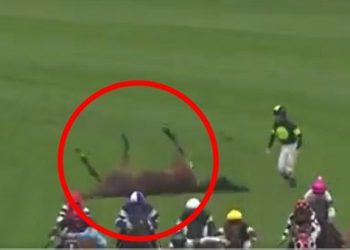 Nevjerojatan trenutak, džokej koji brzo razmišlja riskira svoju sigurnost kako bi pomogao svom konju nakon što se srušio usred utrke