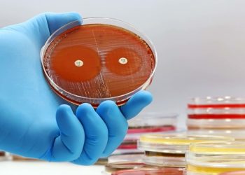Njemački liječnici zabrinuti zbog rastućih neuspjeha antibiotika – Bild — RT World News