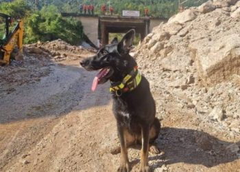 Ovo je “Korčulanka” koja je hrabro pomagala stradalima u Jablanici!